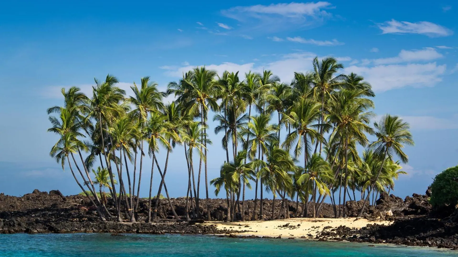 Beach Front Ocean View Top Floor Luxury Penthouse Kailua-Kona Apartament