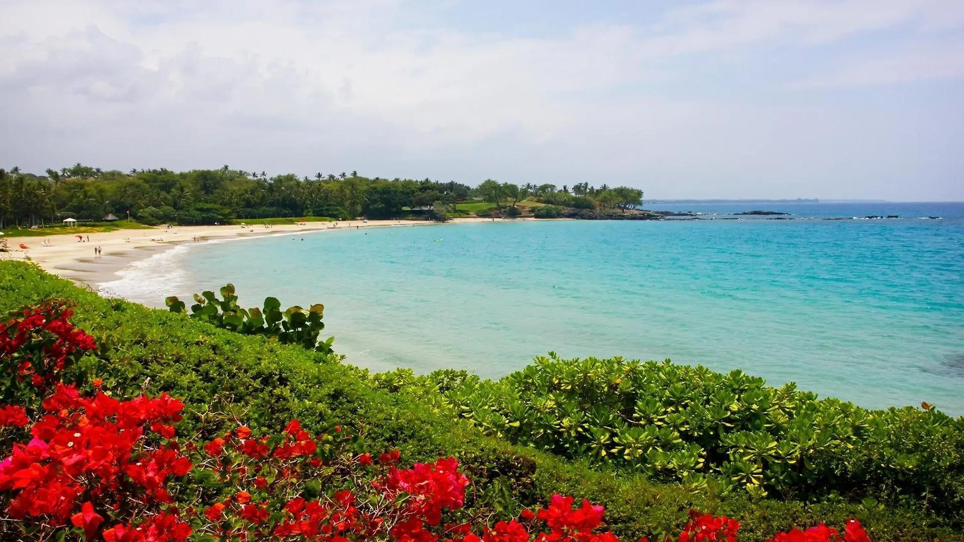 公寓 Beach Front Ocean View Top Floor Luxury Penthouse 凯路亚-科纳