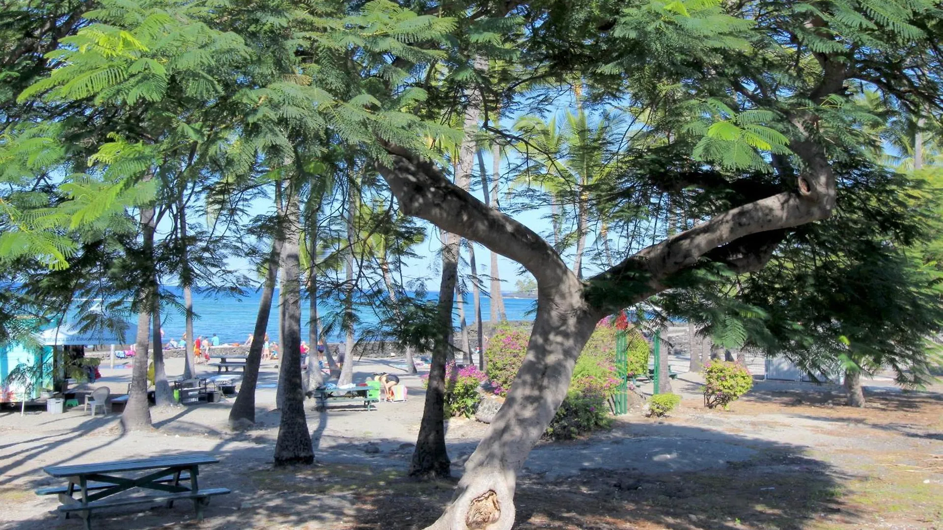Beach Front Ocean View Top Floor Luxury Penthouse 凯路亚-科纳 公寓